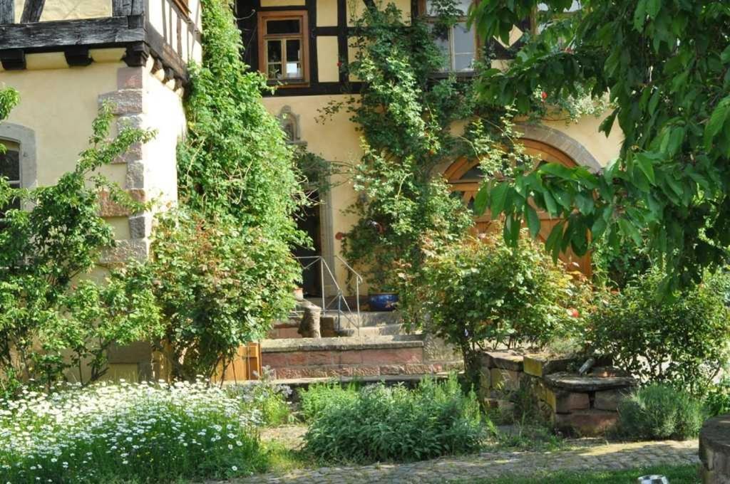 Gaestezimmer - Fuhrhalterei Maul Breuberg Zewnętrze zdjęcie