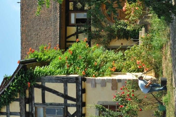 Gaestezimmer - Fuhrhalterei Maul Breuberg Zewnętrze zdjęcie