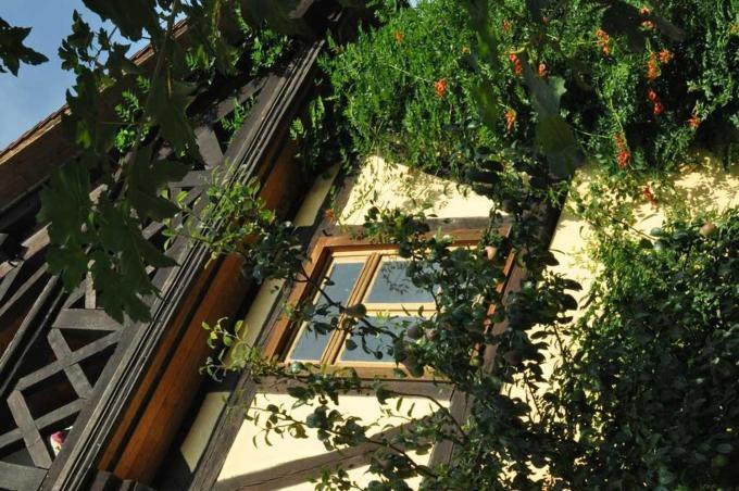 Gaestezimmer - Fuhrhalterei Maul Breuberg Zewnętrze zdjęcie