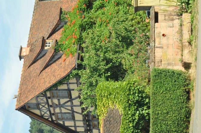 Gaestezimmer - Fuhrhalterei Maul Breuberg Zewnętrze zdjęcie