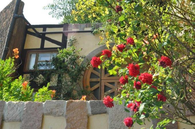Gaestezimmer - Fuhrhalterei Maul Breuberg Zewnętrze zdjęcie