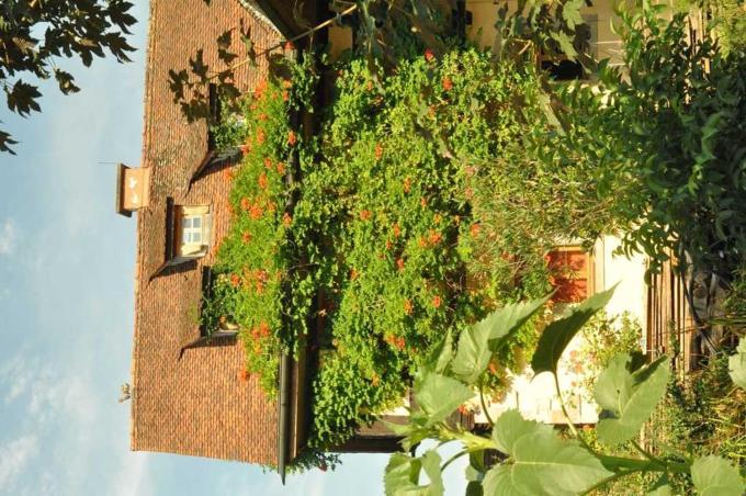 Gaestezimmer - Fuhrhalterei Maul Breuberg Zewnętrze zdjęcie