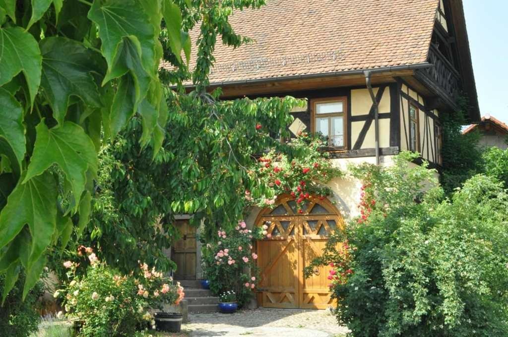 Gaestezimmer - Fuhrhalterei Maul Breuberg Zewnętrze zdjęcie